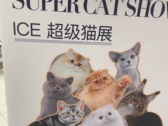-仲盛世界商城