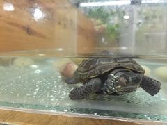 -美丽心情蛋糕(江苏路店)