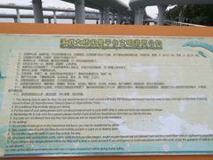 -演武大桥观景平台