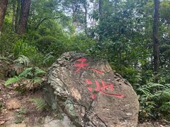 -青龙山国家森林公园