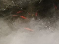 -湊湊火锅·茶憩(石家庄万象城店)