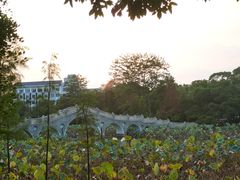 -雀儿山公园