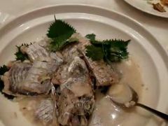 -中苑海韵