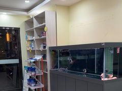 -天宠宠物医院24小时·急重症诊疗中心·全科·腔镜特色(和平分院)