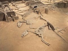 -洛阳周王城天子驾六博物馆