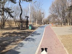 -绿堤公园