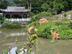 -广州市白云山风景名胜区