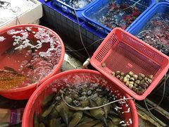 -霞涌市场海鲜摆卖区