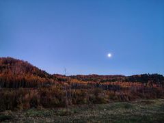 -五营红松林海景区