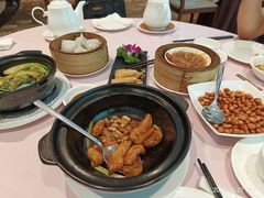 -桃源春晓中餐厅 TaoYuan Restaurant