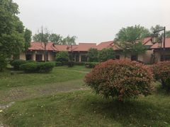 -扬州芍药园(仪征市)