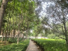 -山东师范大学(千佛山校区)