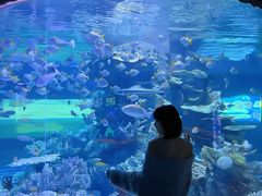 -左海海底世界