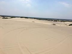 -大青沟风景区