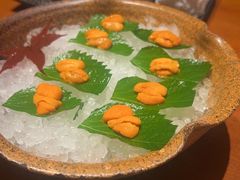 -月龍吟(朝龙汇店)
