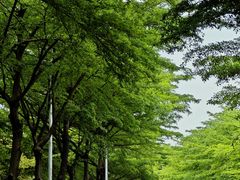 -广东工业大学(大学城校区)