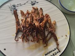-鸭味飞飞