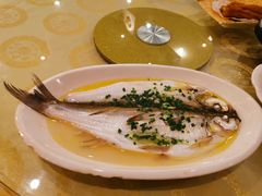 清蒸鲜白鱼-锡和无锡菜(景丽苑店)