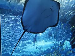 -多彩贵州城极地海洋世界