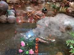 -鱼满舱·鲜活海鲜·正宗鲁菜