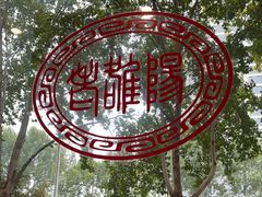 -老雒阳面馆·水席(定鼎门店)