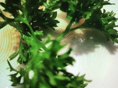 -味千拉面(双井店)