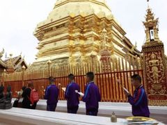 -清迈夜间动物园