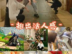 -花之城