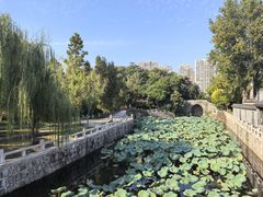 -水绘园