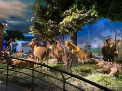 -国家自然博物馆