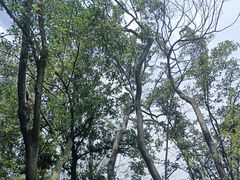 -石燕湖生态旅游景区