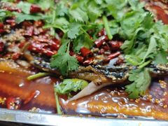 -食鸡公社辣子鸡·潍坊菜·烧烤