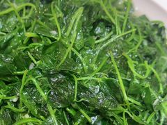 -沈家花园如皋菜(君御豪庭店)