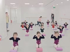 -西安小天鹅艺术团(金花路校区)