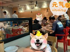-大师兄·西北小馆(南沙万达广场店)