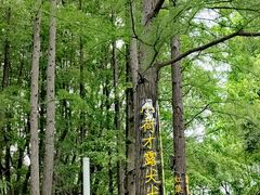 -大宁公园