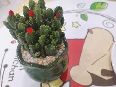 -蜡笔小新の茶 CRAYON SHINCHAN(旗舰店)