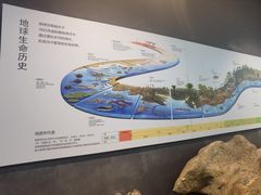 -浙江自然博物院(杭州馆)