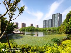 -杭州城北体育公园