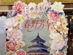 -小吊梨汤·北京菜·烤鸭(鸟巢店)