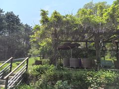 -云峰山自然风景区