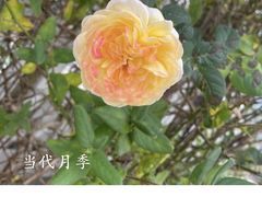 -灵山胜境