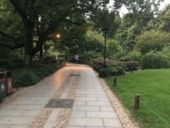 景点-柳浪闻莺公园