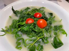 浓汤桑叶-广东道至正餐厅(区庄店)