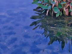 -尚贤河湿地