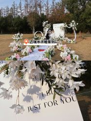 -迈瑞米求婚策划(静安店)