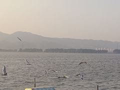 -滇池海埂公园