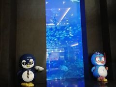 -成都浩海立方海洋公园