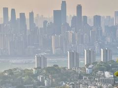 -南山植物园