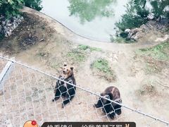 -石家庄市动物园